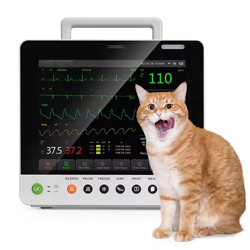 Veterinary Equipment Etco2 Vitaix Signs Monitor Vet Vital Sign Monitor Bluetooth Vet Multi-parameter Veterinary Monitor