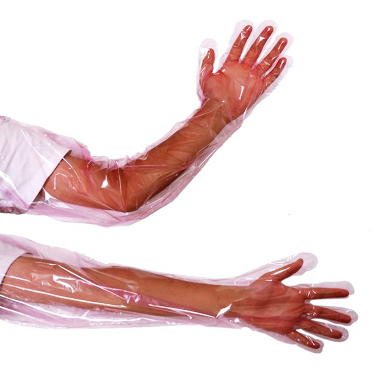 Disposable Hot Sale Vet Veterinary Instrument Insemination Gloves
