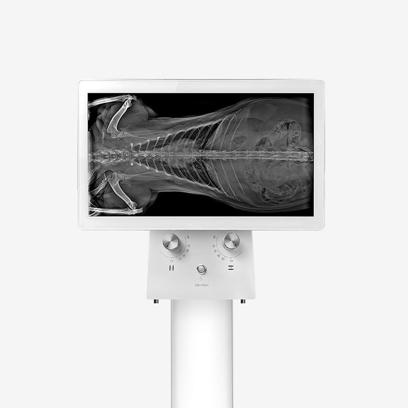 Vetoo Brand DX-VF1 Veterinary instrument Dynamic X ray Machine Radiography equipment