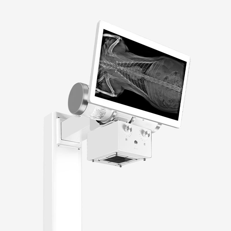Vetoo Brand DX-VF1 Veterinary instrument Dynamic X ray Machine Radiography equipment