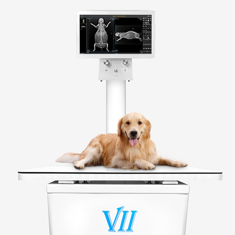 Vetoo Brand DX-VF1 Veterinary instrument Dynamic X ray Machine Radiography equipment