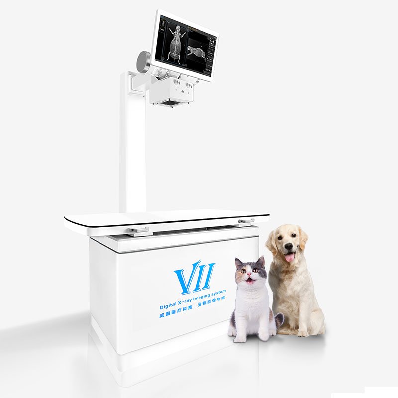 Vetoo Brand DX-VF1 Veterinary instrument Dynamic X ray Machine Radiography equipment