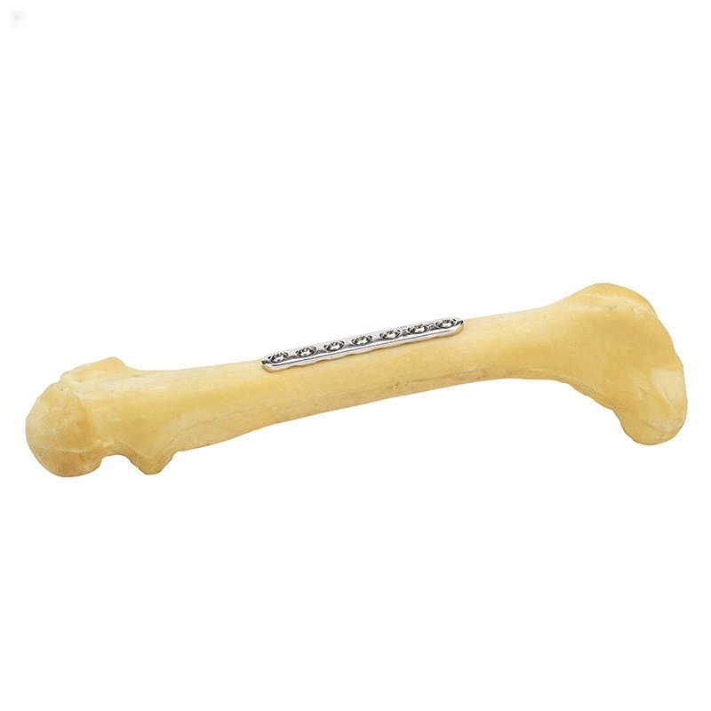 Veterinary Animal Stainless Steel Cortical Screws Orthopedic Implants For Pet