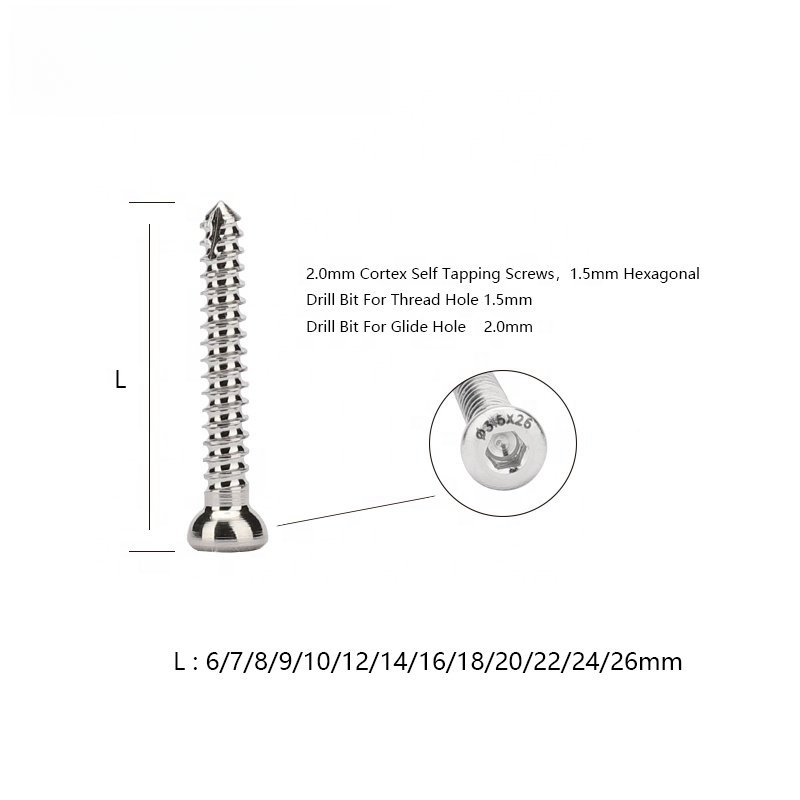 Veterinary Animal Stainless Steel Cortical Screws Orthopedic Implants For Pet