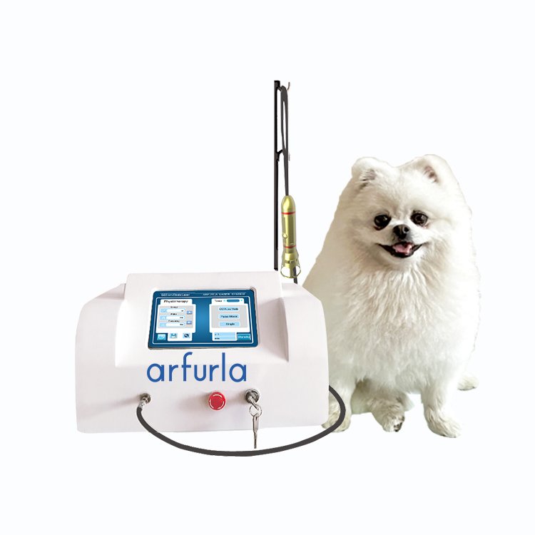 Portable surgical laser veterinary semiconductor laser therapy instrument for animals