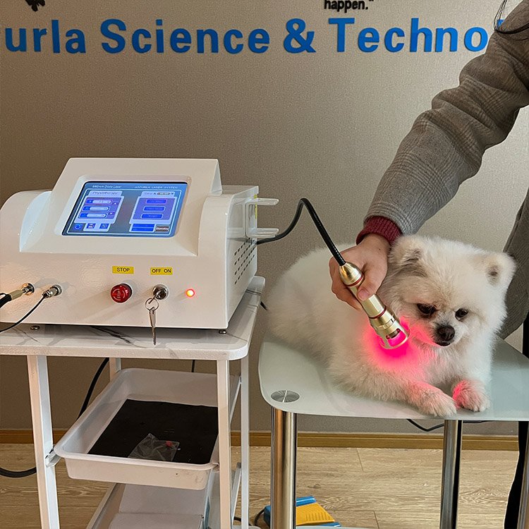 Portable surgical laser veterinary semiconductor laser therapy instrument for animals