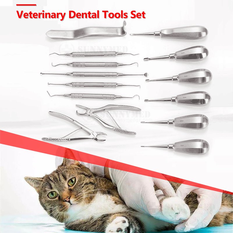 SY-W064 Veterinary Surgery Set Veterinary Surgical Kit for Veterinary Mouth Examination Dental Tool Set