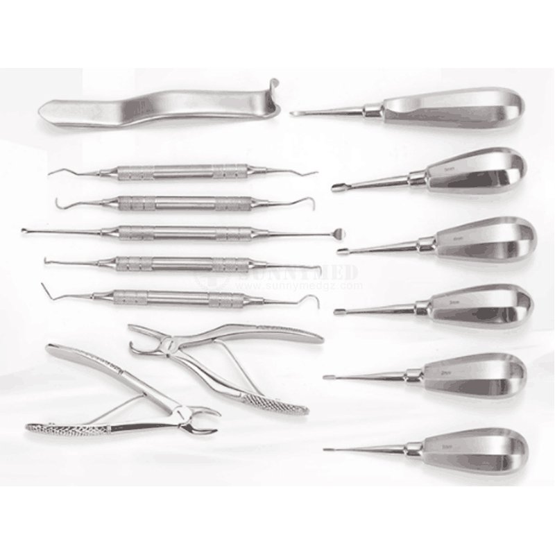 SY-W064 Veterinary Surgery Set Veterinary Surgical Kit for Veterinary Mouth Examination Dental Tool Set