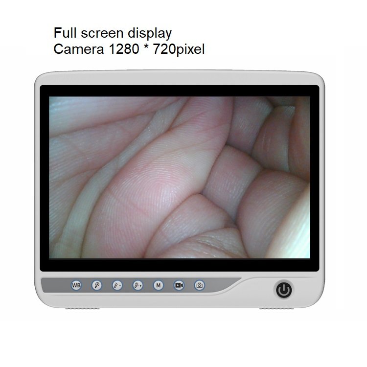 Newly developed products Single Use Veterinary Gastroscope Portable Bronchoscope Endoscope