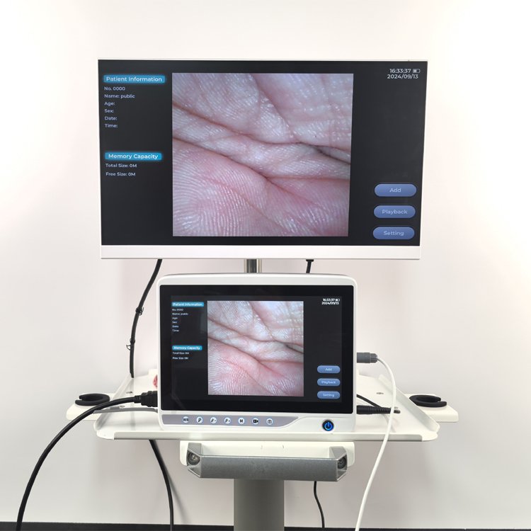 Newly developed products Single Use Veterinary Gastroscope Portable Bronchoscope Endoscope