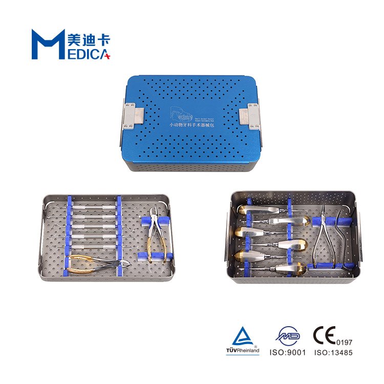 Veterinary Small Animal dental instruments Kit