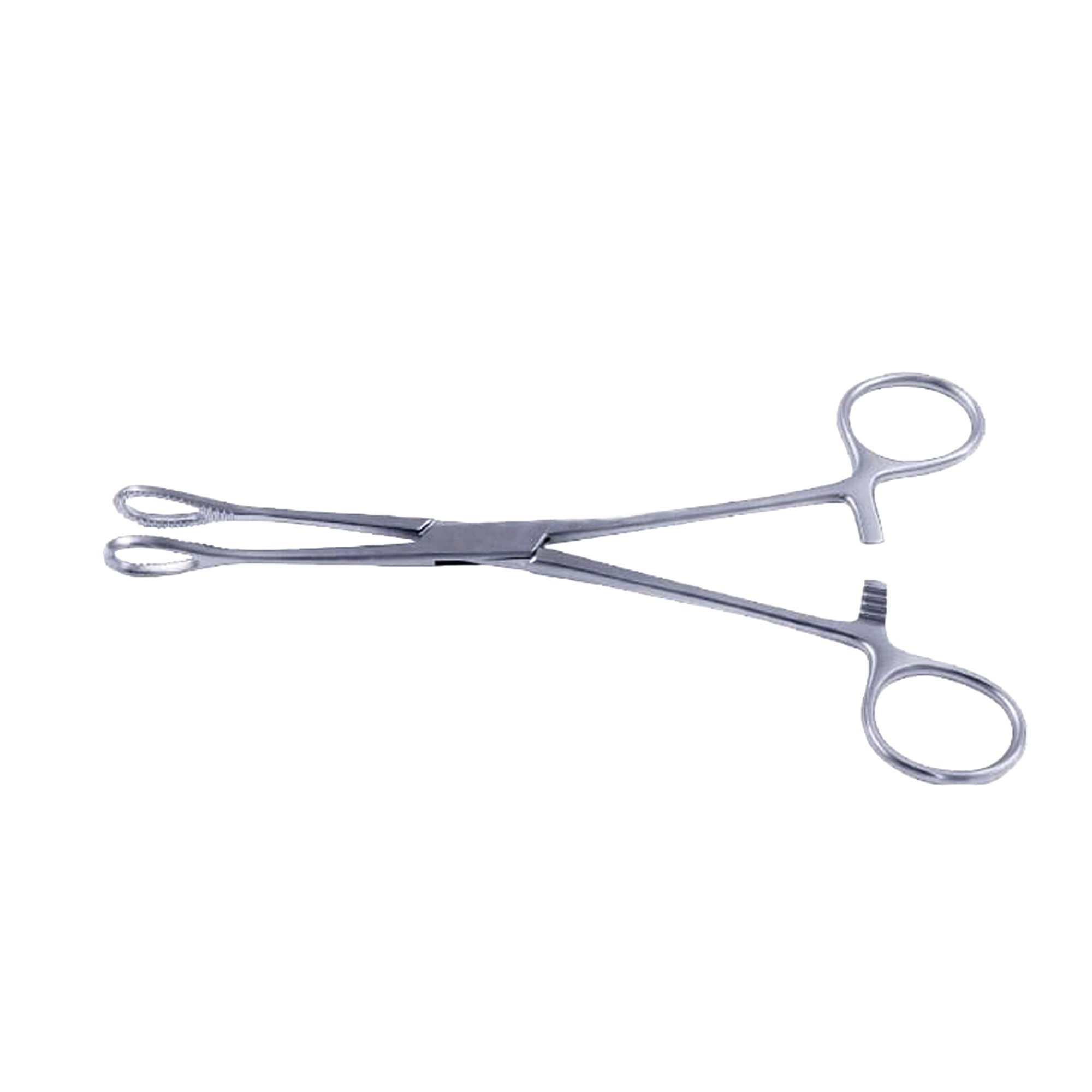 Top Quality Stainless Steel Foerster Sponge Holding Forceps Oval Serrated Jaws Surgical Instruments
