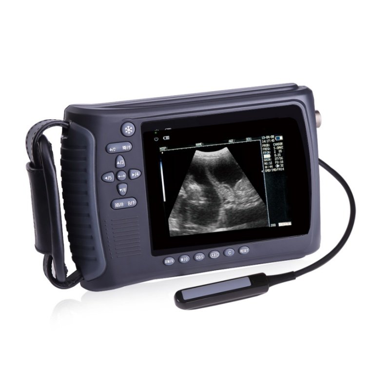 Portable Ultrasound Machine high end other veterinary instrument ultrasound machine for animal/pet use