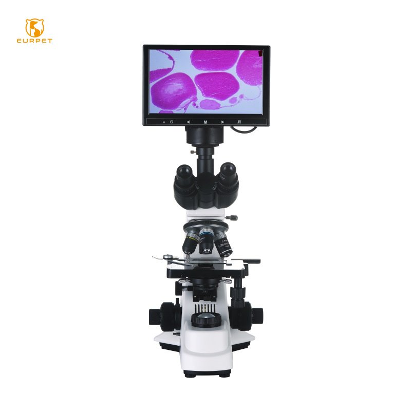 EUR PET Reliable Top Quality Veterinary Biological Microscope Veterinary instrument