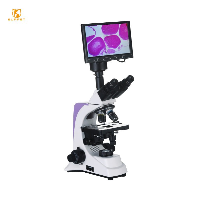 EUR PET Reliable Top Quality Veterinary Biological Microscope Veterinary instrument