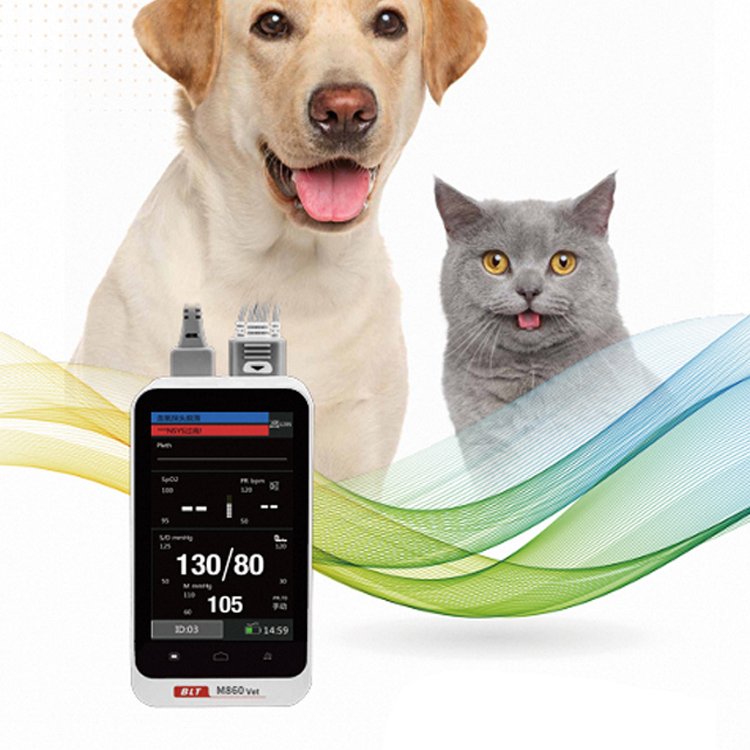 Handheld Veterinary instrument pets animal use Blood Pressure monitor Vital Signs Anestheisa Monitor