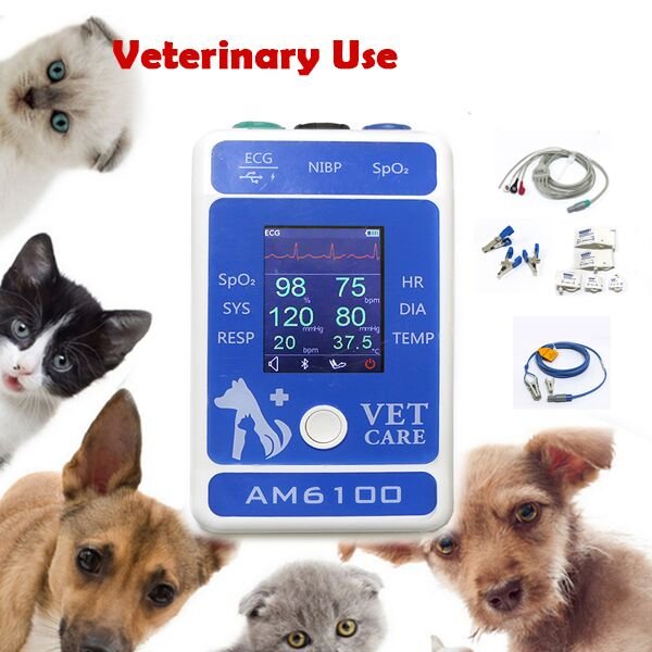 BERRY AM6100 Multiparameter Patient Monitor instrument veterinary parameter with cheap price