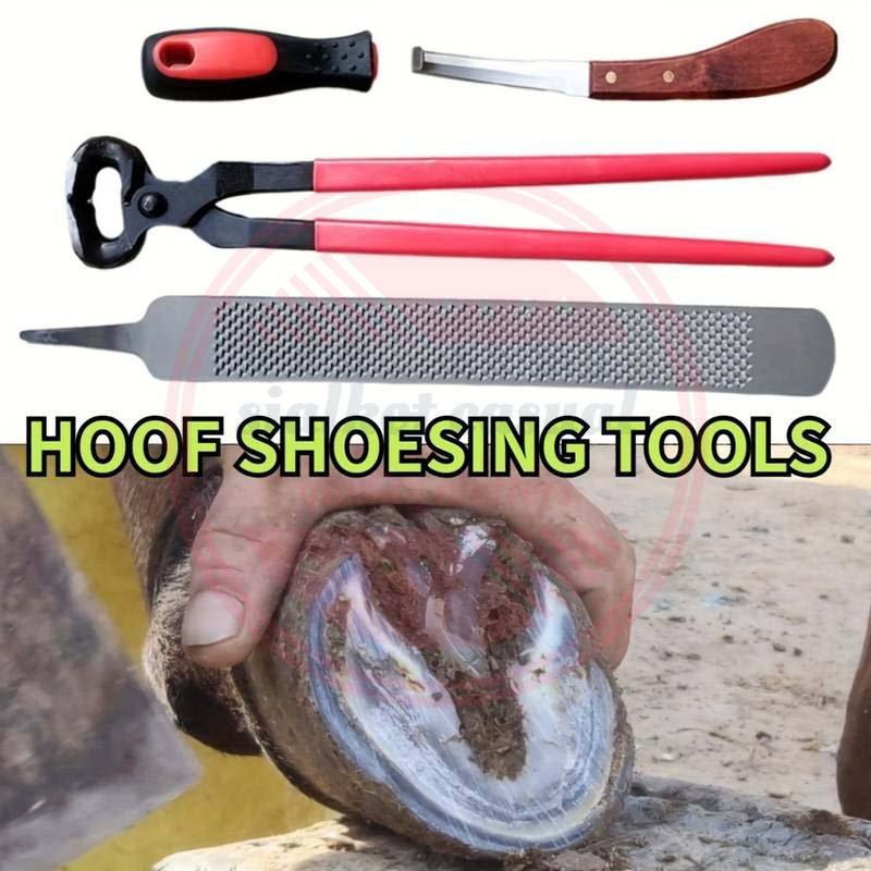 High Quality Professional Veterinary Instruments Farrier Tools Farrier Hoof Kit Top Quality Veterinary Instruments Set