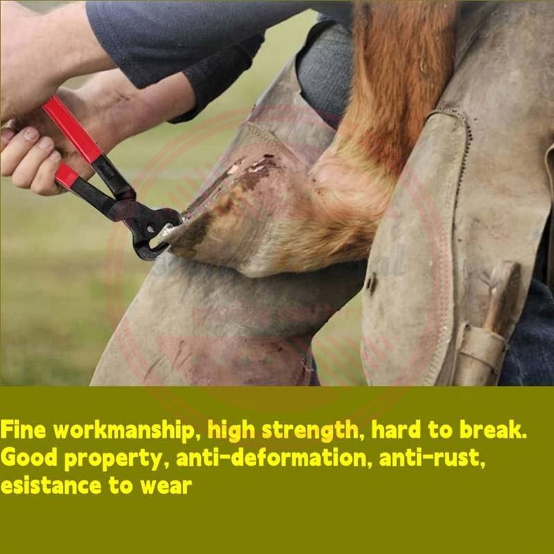 High Quality Professional Veterinary Instruments Farrier Tools Farrier Hoof Kit Top Quality Veterinary Instruments Set