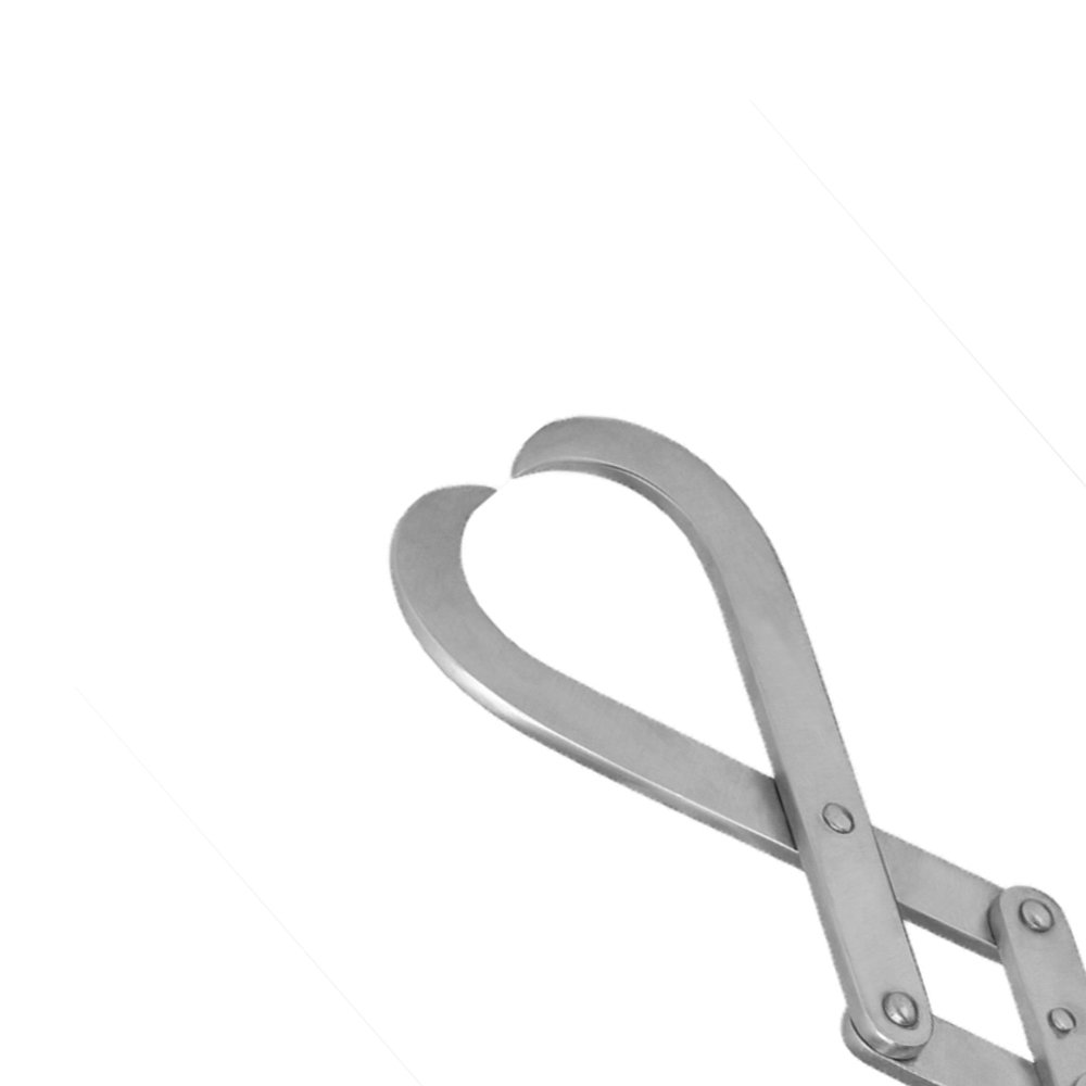Krey Schottler Stainless Steel Hook Best Quality Veterinary Surgical Instrument Forceps