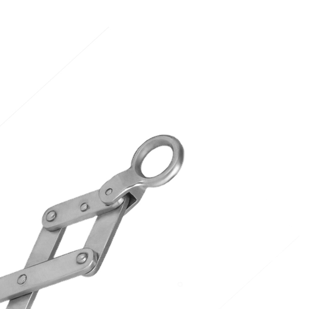 Krey Schottler Stainless Steel Hook Best Quality Veterinary Surgical Instrument Forceps