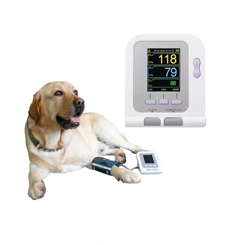 Wholesale Veterinary Instrument Sphygmomanometer Pet Cat Dog Blood Pressure Monitor Animal Measurement Manufacturer's Product