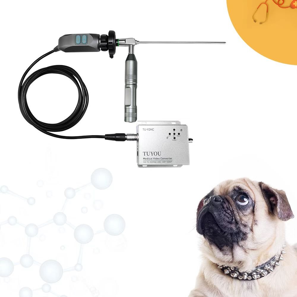 TUYOU HD 1080P Portable Veterinary Handheld Pet Video Endoscopic Camera System for Rigid Endoscopy with CMOS Endoscopy Camera