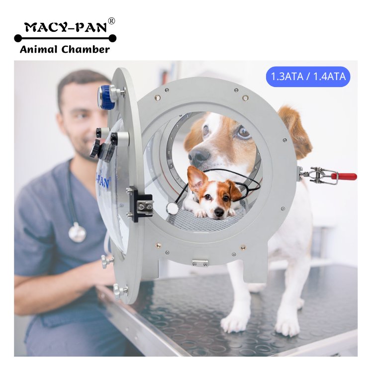 Macy-pan hard shell pet hyperbaric chamber oxygen concentrator 10L O2 treatment for veterinary clinic glass hyperbaric