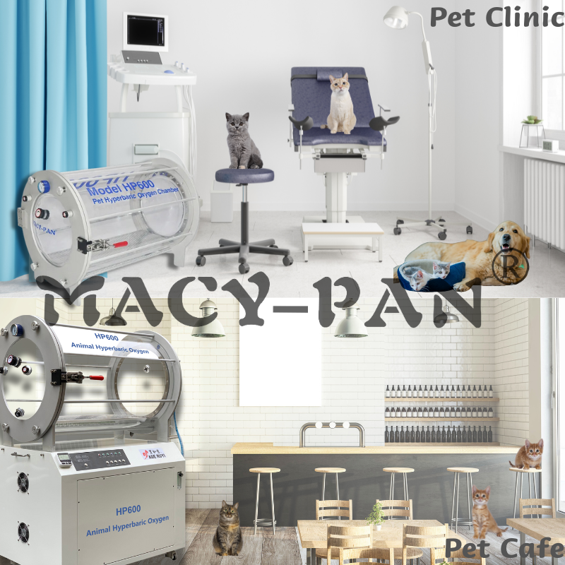 macy-pan pet hyperbaric chamber oxygen chamber for pet for veterinary clinic glass hyperbaric oxygen chamber for animal
