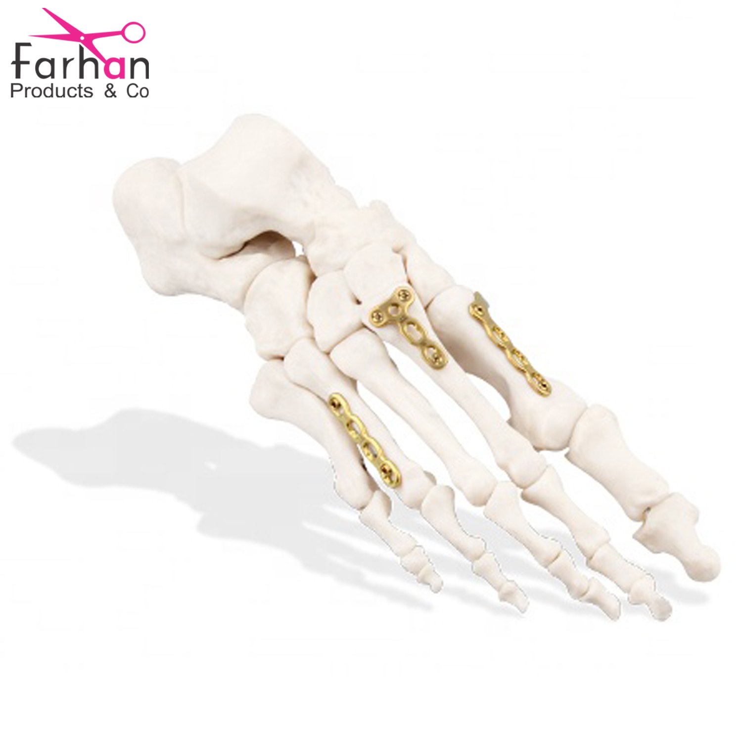 Other Veterinary Instrument / High Quality Diamond Ferrier Nippers 15" , Professional Hoof Nippers / Veterinary Instruments