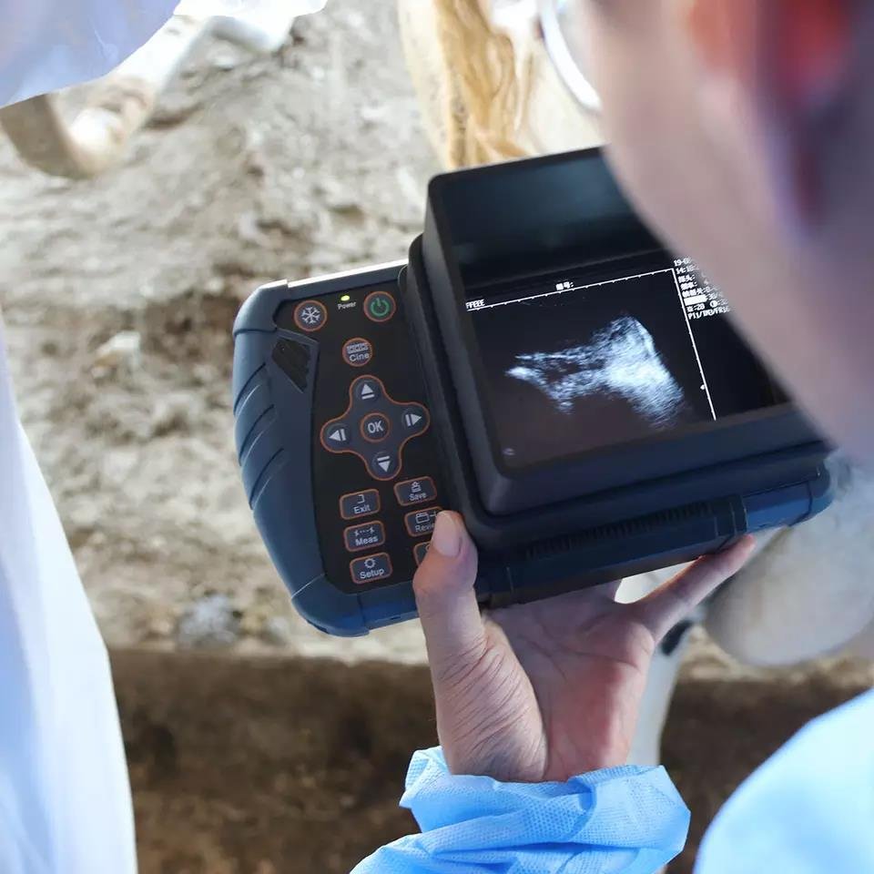 EUR PET Cheap Handheld Animal Portable Full Digital Veterinary Diagnostic Equine Ultrasound Machine