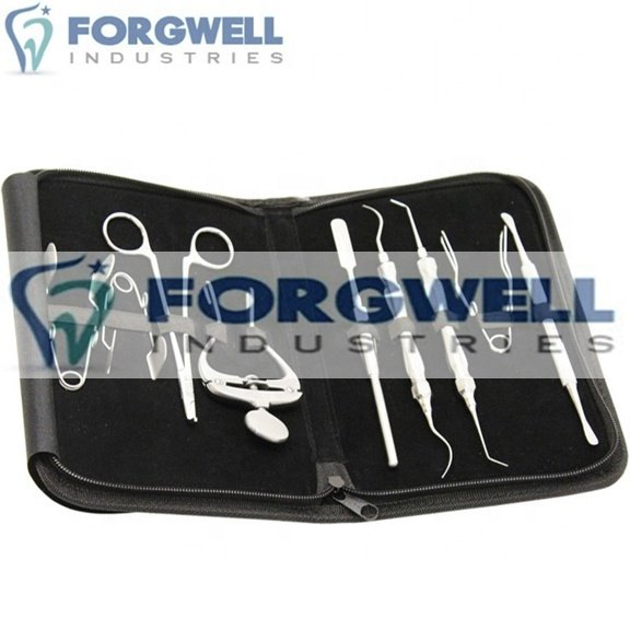 Forgwell Industries High Quality Stainless Steel Rabbit and Small Animal Dental Veterinary Instruments Kit