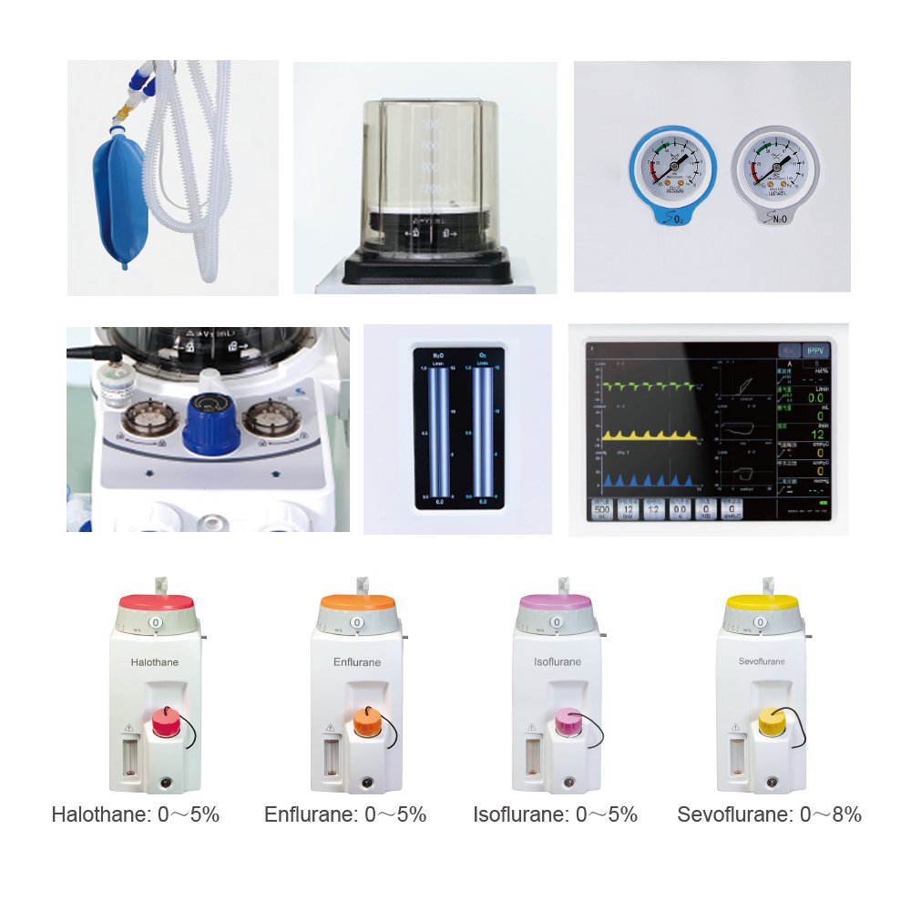 Pet/Vet Dr Veterinary Anesthesia anasthesia Machine DM6A Equipo For Veterinary Use