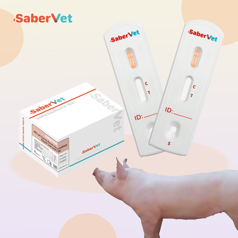 Monitoring pet Health Other Veterinary Instrument Prrsv Ab vet rapid test for porcine