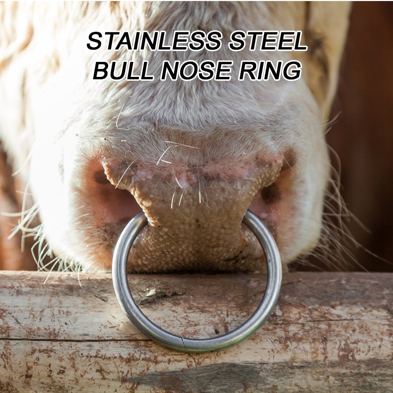 BULL NOSE HOLDING HOLDER RING RINGS MADE OF BRASS COPPER STAINLESS STEEL FOR ANIMALS VETERINARY INSTRUMENTS TOOLS