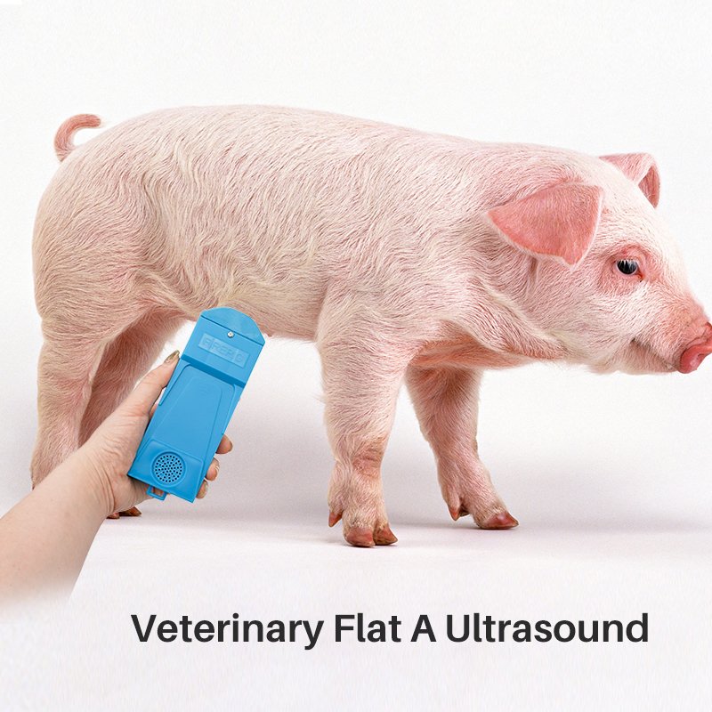 Portable Veterinary Sow A-ultrasound Pregnancy Test Ultrasound Pregnancy Detector Pig Pregnancy Tester