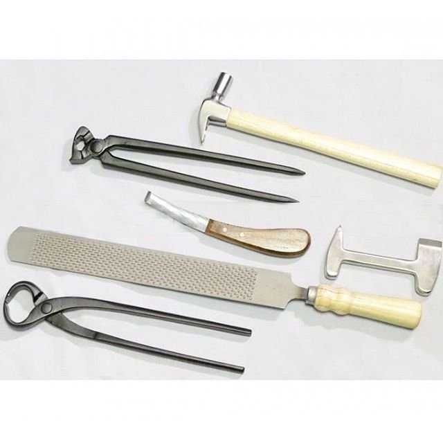 other veterinary instrument