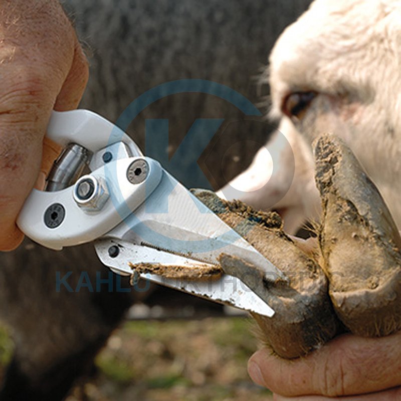 Sheep Foot Rot shear Goat Rot Shears hoof cutters trimmer Veterinary instruments By KAHLU ORTHOPEDIC