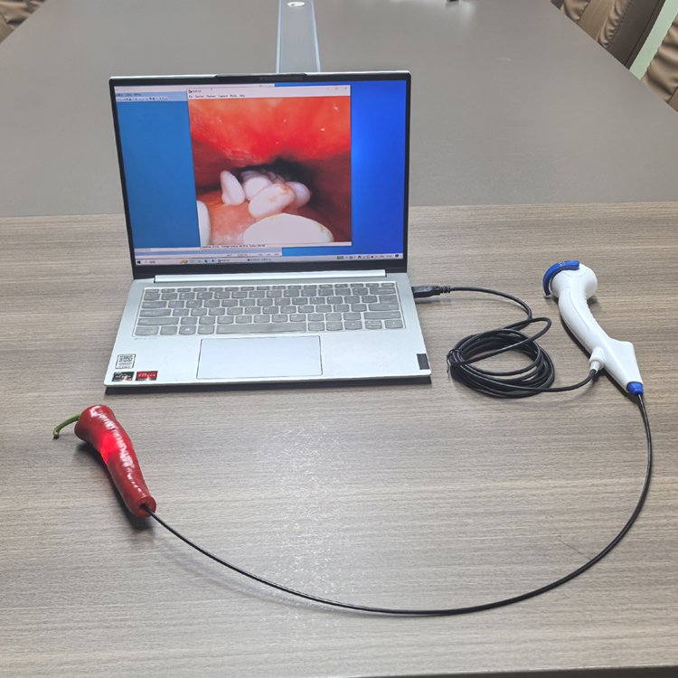 Hot Item High Quality Professional Veterinary Clinics Vet Instrument Veterinary Video Gastroscope