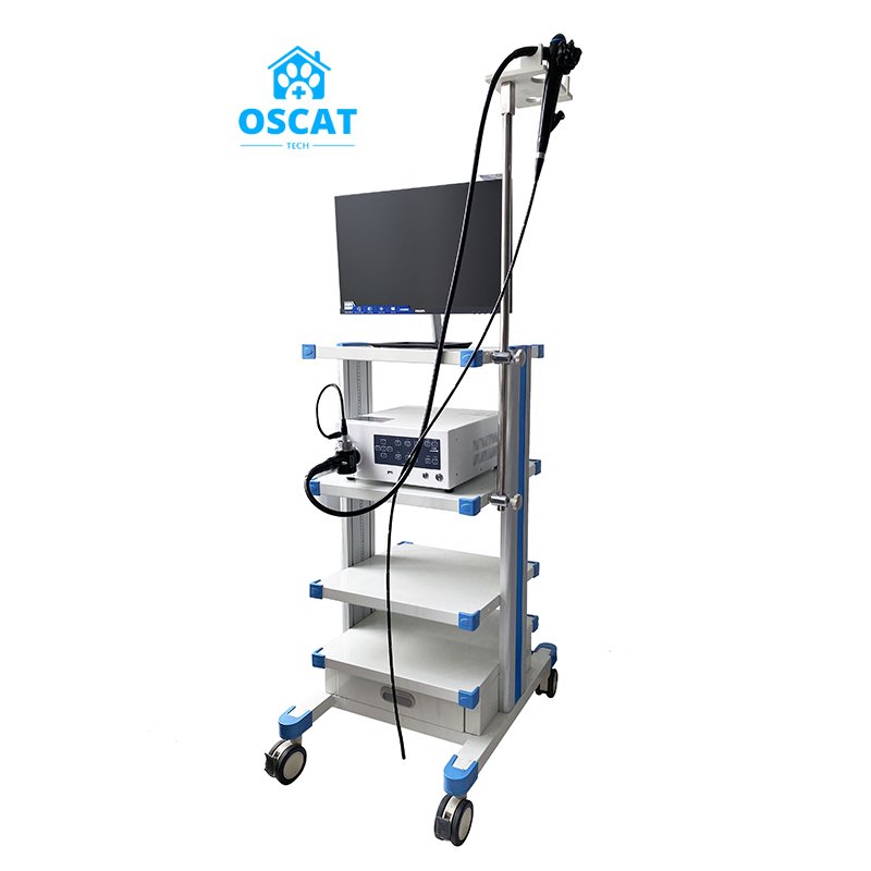 OSCAT veterinary equipment Mainly recommended surgical instruments endoscope set hysteroscope for Animal use