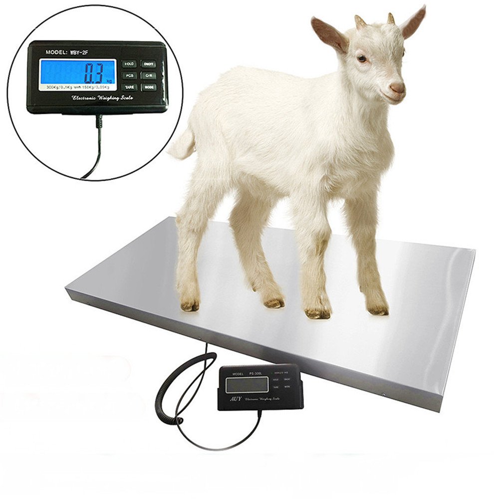 50kg 100kg 200kg 300kg 500kg Veterinary Instrument Stainless Steel Platform Floor Digital Animals Pet Postal Weight Scales