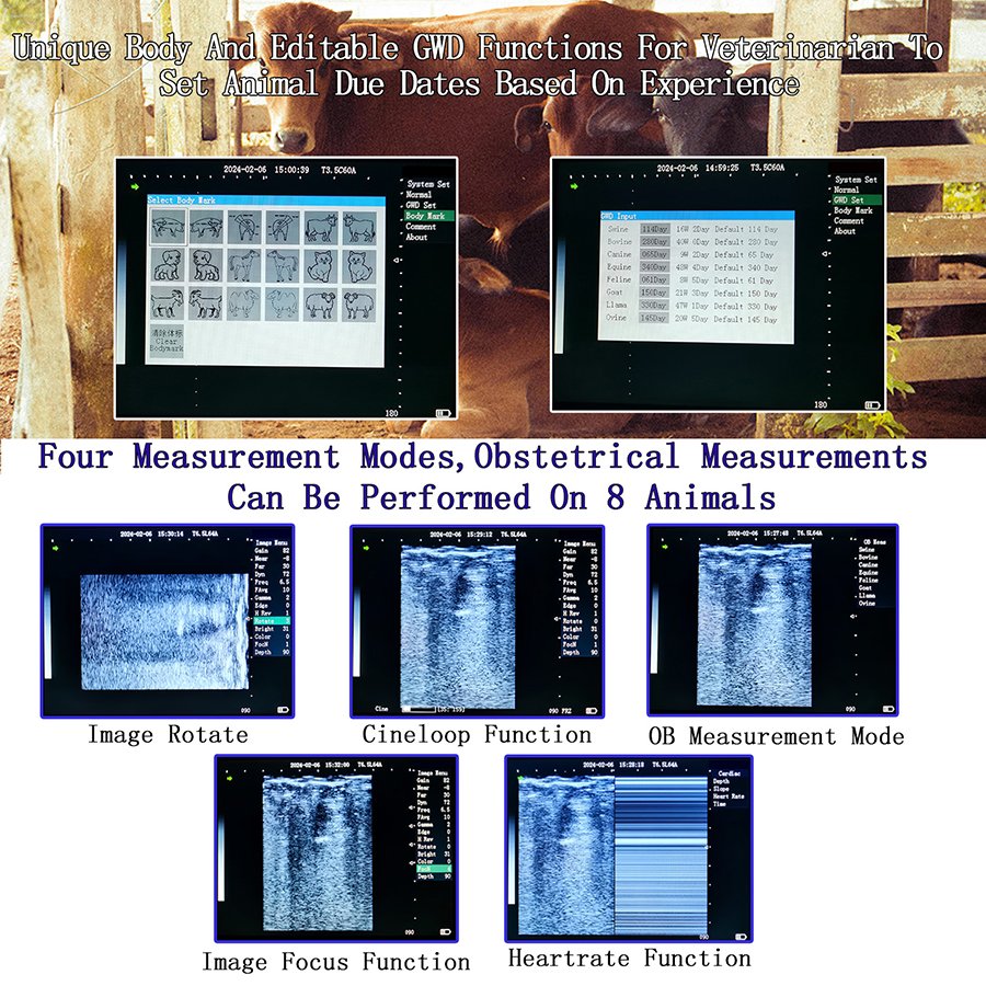 Veterinary Instrument Animal Care Instruments Handheld Veterinary Scanner Portable Ultrasound for Vet Use