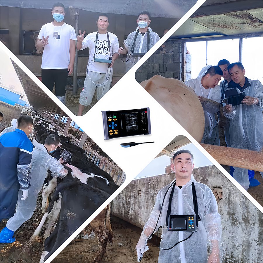 Veterinary Instrument Animal Care Instruments Handheld Veterinary Scanner Portable Ultrasound for Vet Use