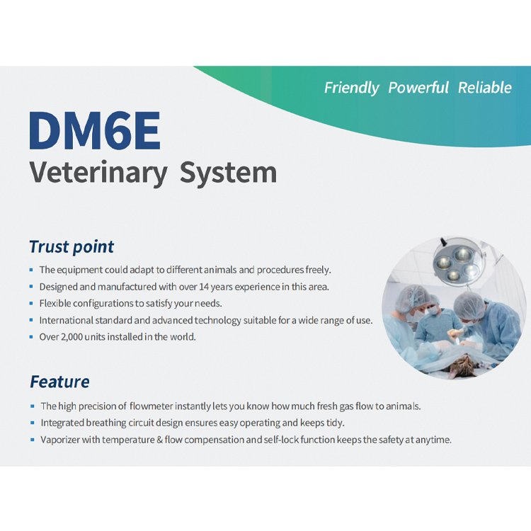China factory price Veterinary Anesthesia machine animal operation DM6E