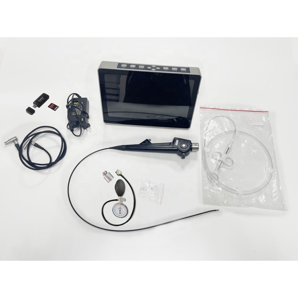 Medical Veterinary Endoscope Flexible for Small Animals Cystoscope Ureteroscope Gastroscope for Vet Clinic Hospital