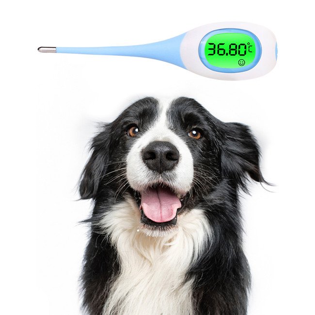 Rapid Accurate Cat Dog Horse Veterinarian Other Animal & Veterinary instrument Digital Animal Pet Vet Termometro Thermometer