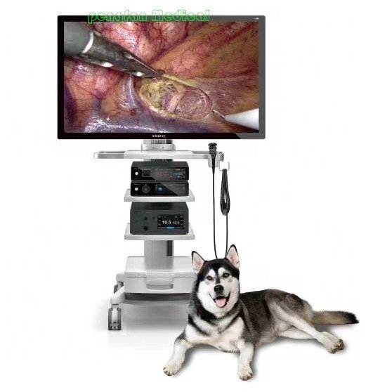 Mindray Veterinary Endoscope Vetina CS7