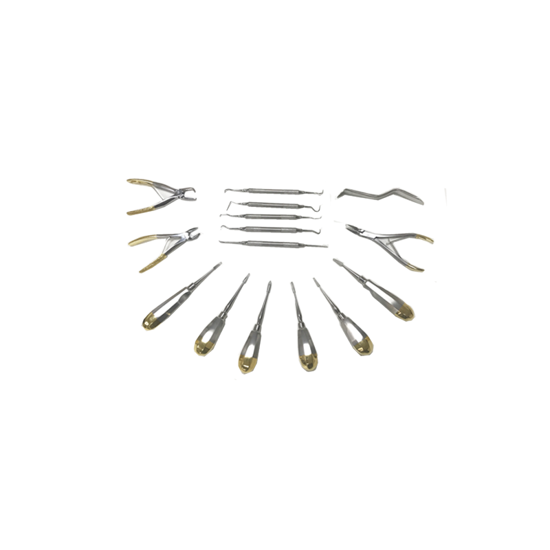 Surgical product oral surgery dental scaler kit set micro forceps orthodontic other veterinary Instrument for pet small animal