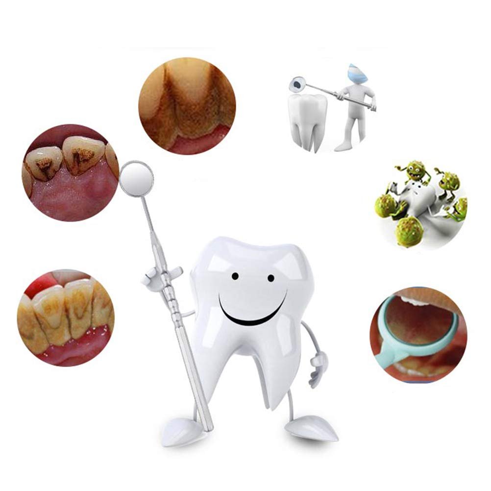 Hot Selling Dental Instrument Stainless Steel Dental Mouth Mirror Hygiene Kit Oral Care Stainless Steel Dental Instruments