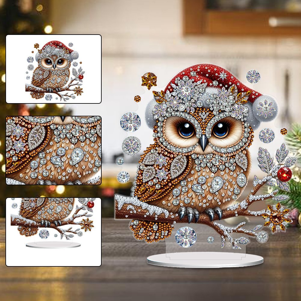 Acrylic Winter Owl 5D DIY Craft Ornament diy diamond Christmas Gift